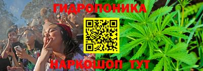 дурь Сланцы