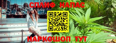дурь Сланцы