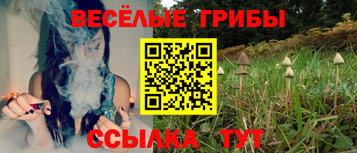 Псилоцибиновые грибы Psilocybe  Галлюциногенные грибы MAGIC MUSHROOMS  Ростов Великий  Вход с VPN 